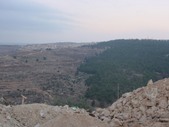 Enlarge photo 47