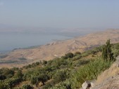 Enlarge photo 97