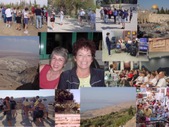 Enlarge photo 180