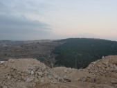 Enlarge photo 49