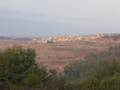 Enlarge photo 44