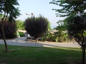 Enlarge photo 91