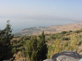 Enlarge photo 103