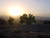 Enlarge photo 107