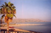 Enlarge photo 82