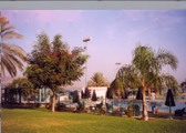 Enlarge photo 83