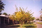 Enlarge photo 84