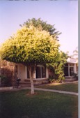 Enlarge photo 85