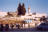 Enlarge photo 32