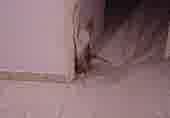 Enlarge MPEG 12