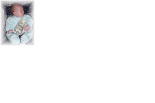 Enlarge photo 50