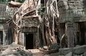 Enlarge photo 103