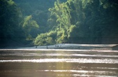 Enlarge photo 50