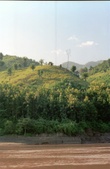 Enlarge photo 51