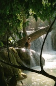 Enlarge photo 59