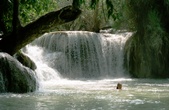 Enlarge photo 61