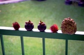 Enlarge photo 19