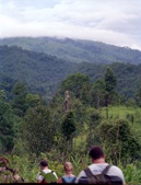 Enlarge photo 30