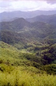 Enlarge photo 36