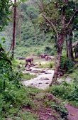 Enlarge photo 37