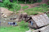 Enlarge photo 40