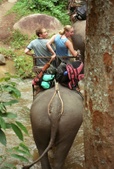 Enlarge photo 41