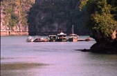 Enlarge photo 80