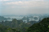 Enlarge photo 82