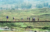 Enlarge photo 87