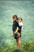 Enlarge photo 91