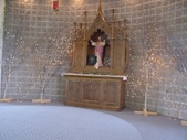 Enlarge photo 46