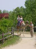 Enlarge photo 25