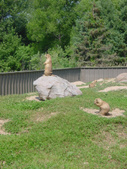 Enlarge photo 36