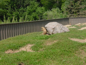 Enlarge photo 31