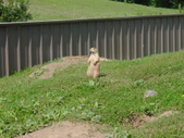 Enlarge photo 34
