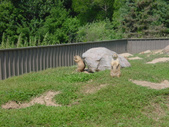 Enlarge photo 35