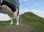Enlarge photo 13