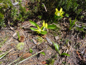 Enlarge photo 51