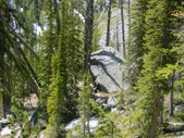Enlarge photo 57