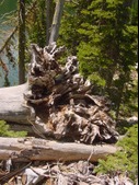 Enlarge photo 59