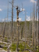 Enlarge photo 73