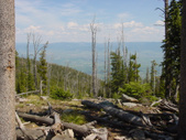 Enlarge photo 74