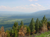 Enlarge photo 75