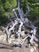 Enlarge photo 25