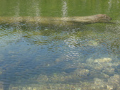 Enlarge photo 31