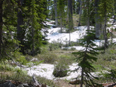 Enlarge photo 37