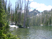 Enlarge photo 40