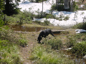 Enlarge photo 42