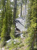 Enlarge photo 45