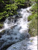 Enlarge photo 48